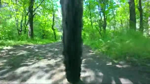 Roue de vélo va sur un sentier pédestre — Video