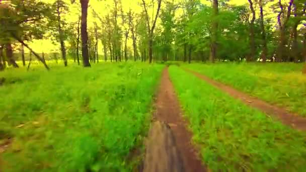 roue de vélo va sur un sentier pédestre 
