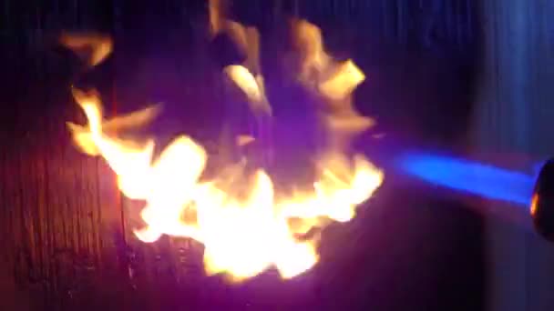 Gas torch on a tree — Stock Video