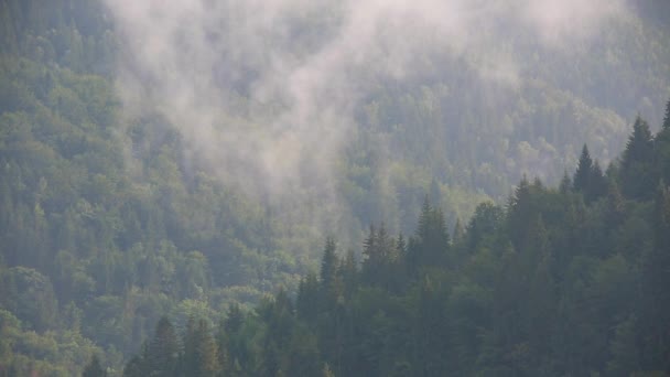 Mist in de bergen — Stockvideo