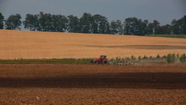 Traktor på fältet — Stockvideo