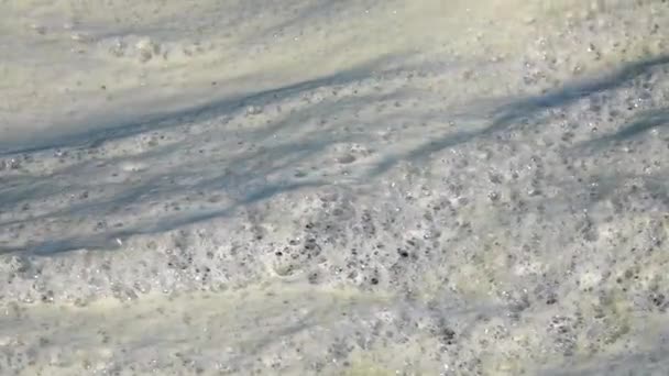 Förorening Dammen Skum Från Dåliga Rengöringsmedel Ekologisk Scen Slow Motion — Stockvideo