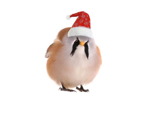 Mâle Beraded Tit Dans Santa Claus Chapeau Isolé Sur Fond — Photo