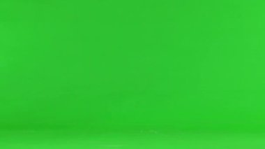 a young turkey walks and talks on a green screen