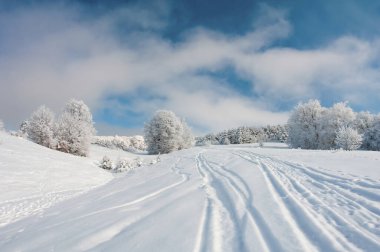 Ormanda yolu olan kış manzarası