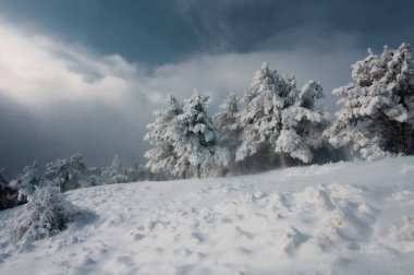 Pencereleri açık olan karla kaplı ev kışın ormandadır.