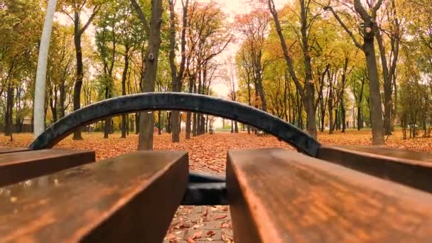 Pohybující Kamera Podél Lavičky Dešti Podzimním Parku — Stock video