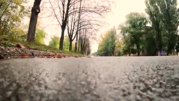 Pohyb Kamery Silnici Deštivém Podzimním Počasí — Stock video