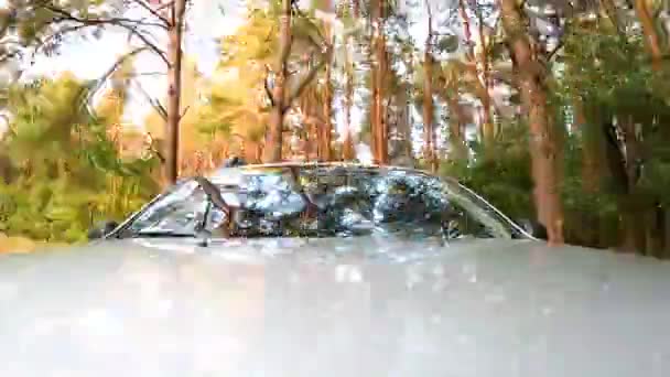 形象的视觉 汽车以不明飞行物的形式穿过森林 时间翘曲 — 图库视频影像