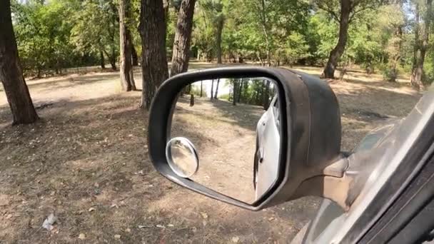 汽车在森林里行驶 映照在森林的后视镜中 时间翘曲 — 图库视频影像