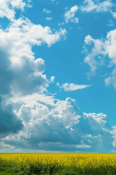 Beautiful Spring Clouds Background Rapeseed Field — Fotografia de Stock
