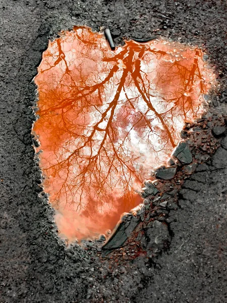 Red Puddle Formed Asphalt Quartzite Protrusion Form Heart — Stock Photo, Image