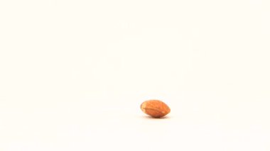 blue tit, Cyanistes galloped to an almond seed and eat it. white screen, studio