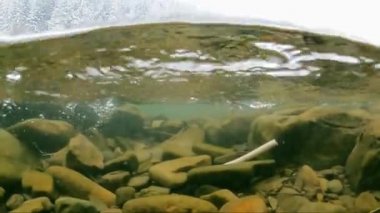 Ekoloji ve doğa. Dağdaki bir nehirde plastik