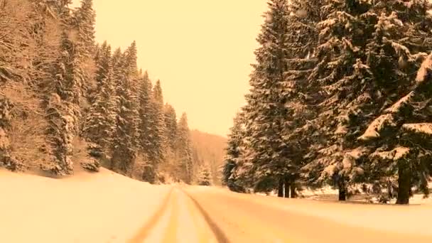 Winterstraße Den Bergen Schneefall Zeitverzug — Stockvideo