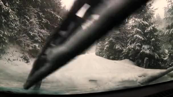 Bergstraße Winterlichen Tannenwald Schneefall — Stockvideo