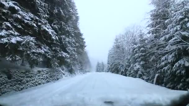 Гірська Дорога Зимовому Ялинковому Лісі Снігweather Forecast — стокове відео