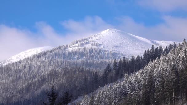 Cima Montaña Está Cubierta Nieve Invierno Montañas Cubiertas Bosques Coníferas — Vídeo de stock