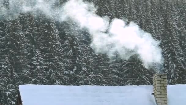 Rök Från Skorstenen Ett Litet Hus Ett Snöfall Bakgrunden Barrskog — Stockvideo