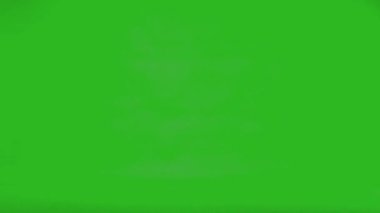 Yavaş çekim uçan İngiliz güvercini yeşil ekranda