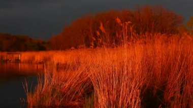 Güneşi nehre doğal bir sesle vuruyor.