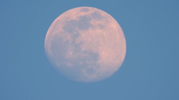 Lua Nascente Contra Céu Azul — Vídeo de Stock