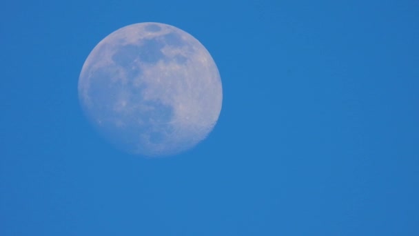 Rijzende Maan Tegen Blauwe Hemel — Stockvideo