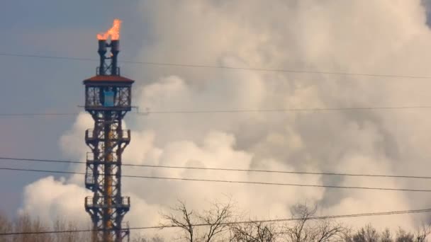 Metalürji Fabrikalarında Yanan Ateş — Stok video