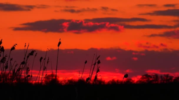 Kırmızı Günbatımı Gökyüzünde Hareket Eden Bulutlar — Stok video
