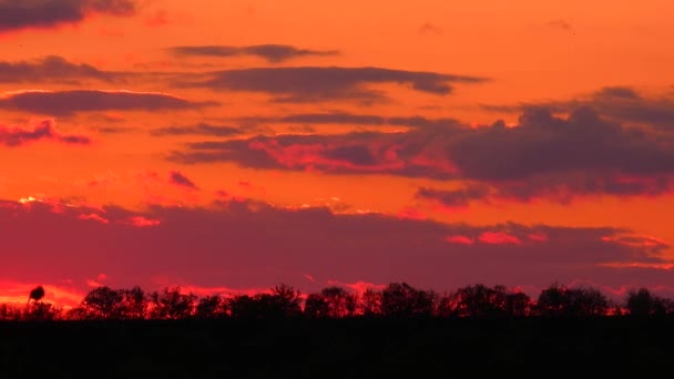Červený Západ Slunce Pohybující Mraky Obloze — Stock video