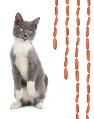 kedi sosis tarafından cazip