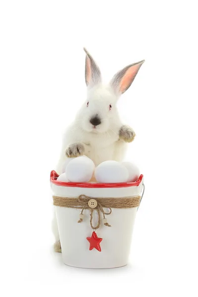 Rabbit near a bucket with Easter eggs — Stock Photo, Image