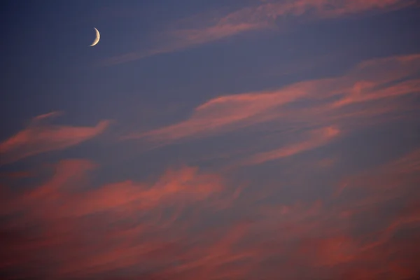 Ciel nocturne avec la lune — Photo