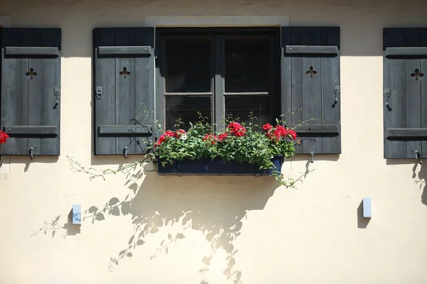 花を持つ木製窓の家 — ストック写真