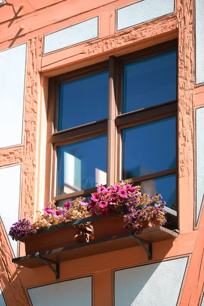 Okno z pięknych kwiatów — Zdjęcie stockowe