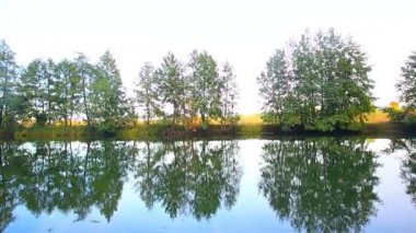 yeşillik güzel woods ile göl üzerinde