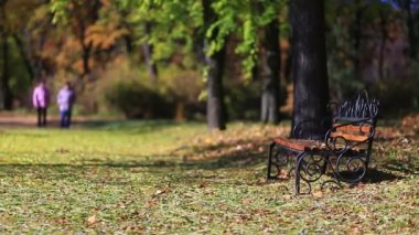 insanlar sonbaharda parkta yürüyüş