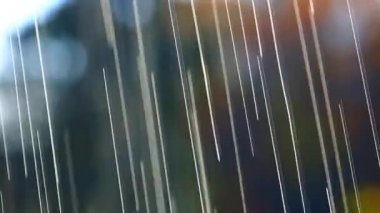 ağır yağmur damlaları