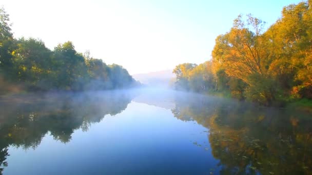 Golden Autumn  lake in the fog — Stock Video