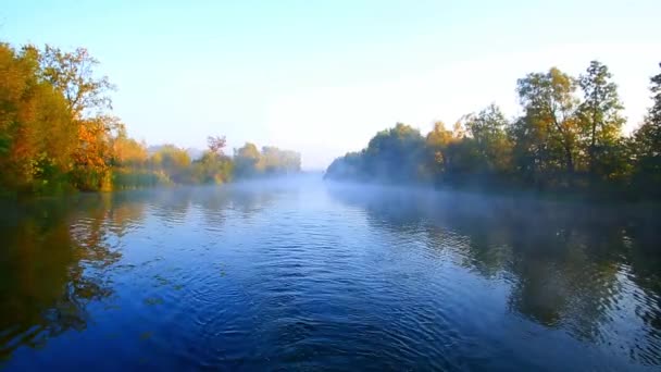 Golden Autumn  lake in the fog — Stock Video