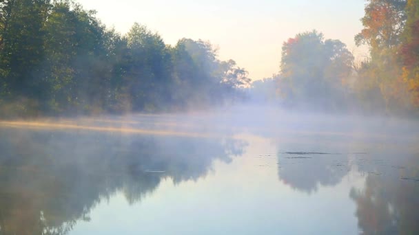 Goldener Herbstsee im Nebel — Stockvideo