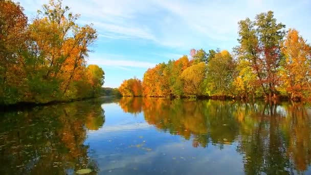 Golden Autumn on the lake — Stock Video