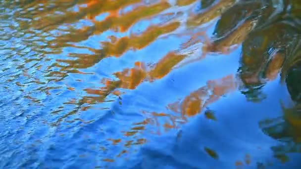 Weerspiegeling van hout in water — Stockvideo
