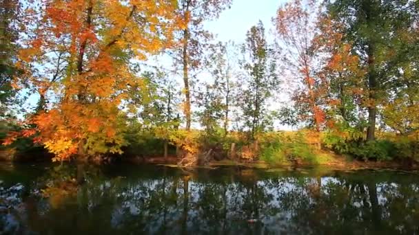 Золота осінь на озері — стокове відео