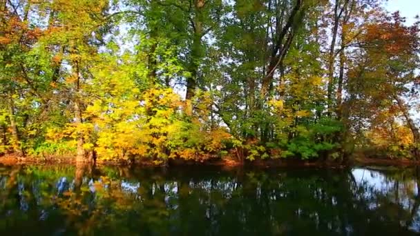 automne doré sur le lac 