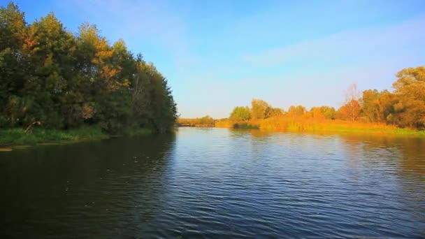 Золотая осень на озере — стоковое видео