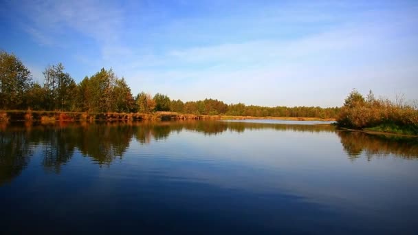Золота осінь на озері — стокове відео