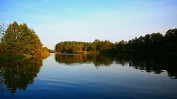 Folhagem sobre lago com belas madeiras — Vídeo de Stock