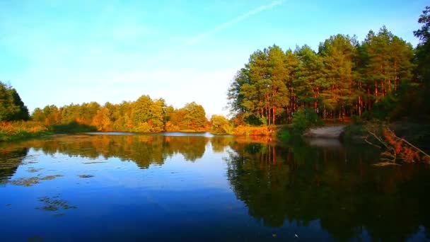 Feuillage au-dessus du lac avec de beaux bois — Video