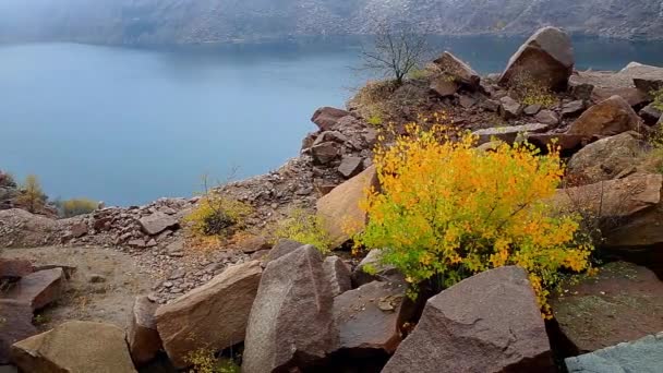 Tree on granite deposits — Stock Video